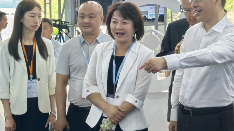 刹车盘材质如何选择：揭秘改装刹车盘的材质奥秘**